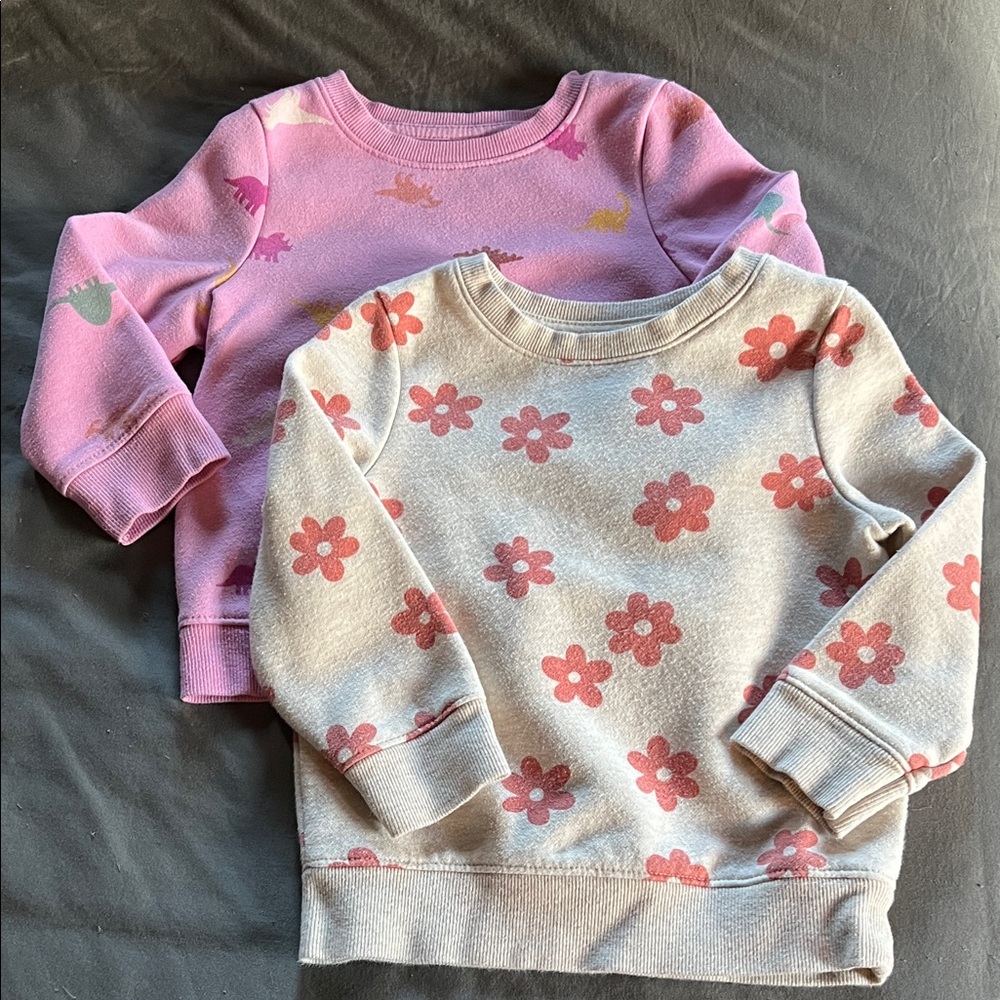 Floral and Dinosaur Toddler Sweatshirt Set